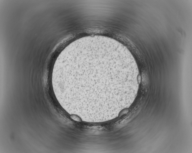 X0000110860396200907301356