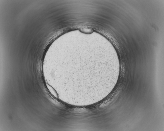 X0000110860397200907301356