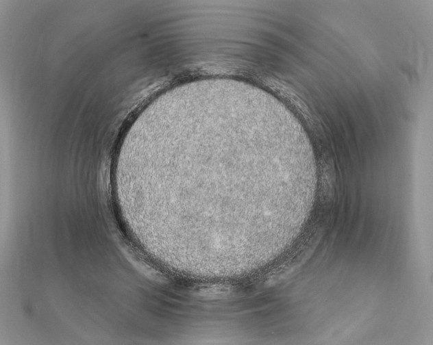 X0000110860398200907301356