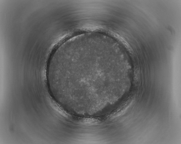 X0000110860399200907301356
