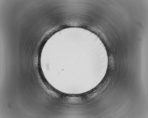 X0000110860400200907301356