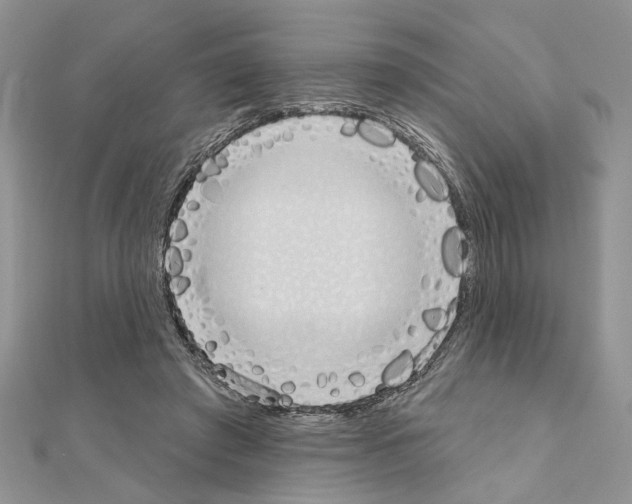 X0000110860401200907301356