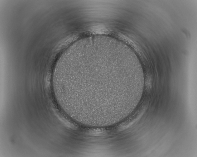 X0000110860402200907301356