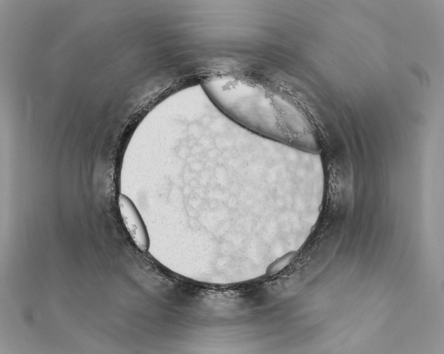 X0000110860403200907301356