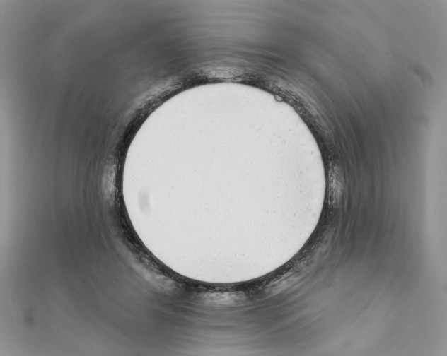 X0000110860404200907301356