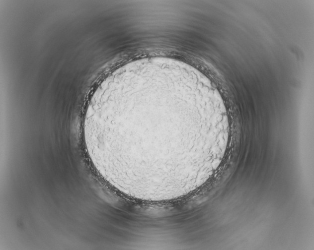 X0000110860405200907301356