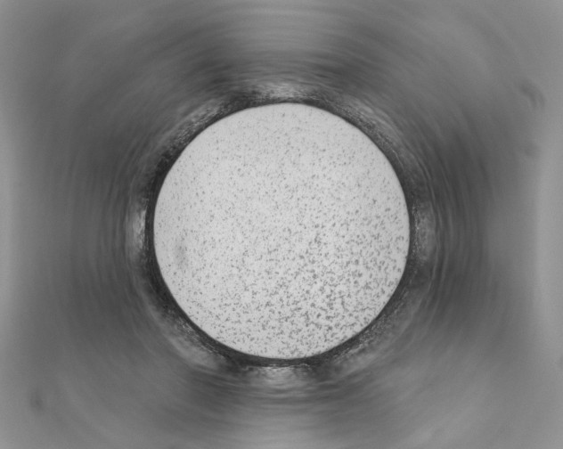 X0000110860406200907301356