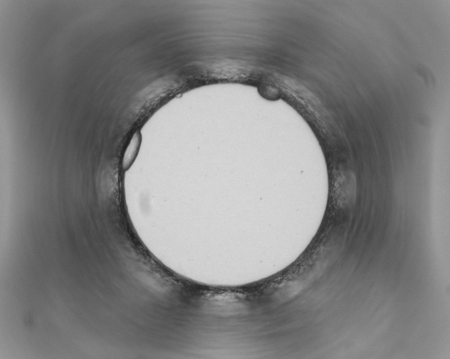 X0000110860407200907301356