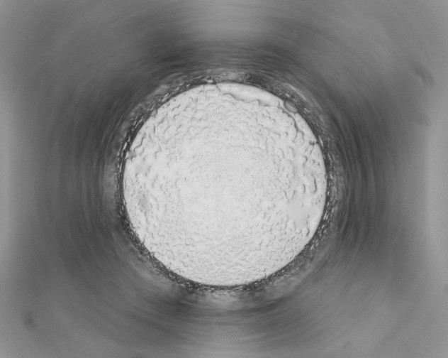 X0000110860409200907301356