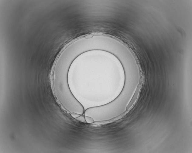X0000110860411200907301356