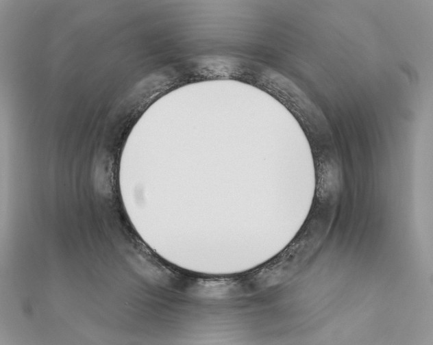 X0000110860414200907301356