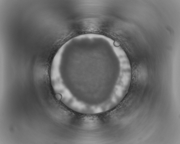 X0000110860415200907301356