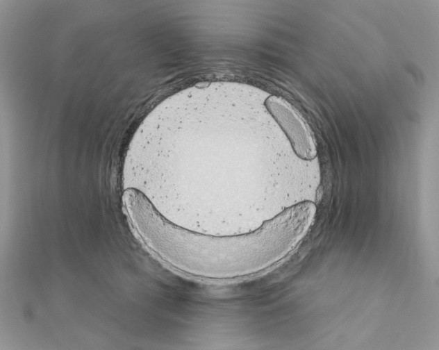 X0000110860417200907301356