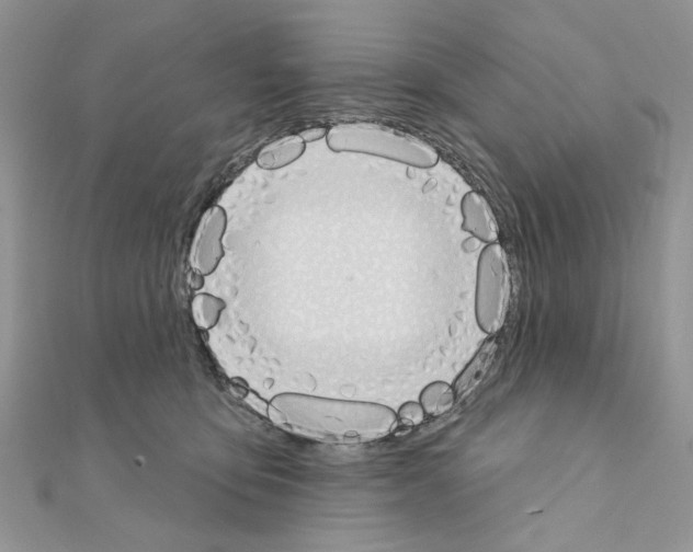 X0000110860419200907301356