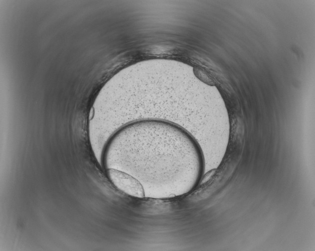 X0000110860421200907301356