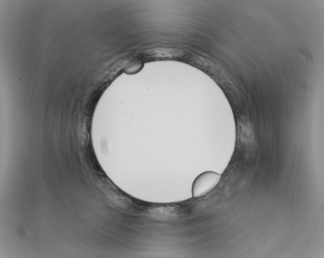 X0000110860422200907301356