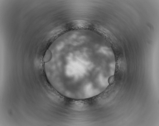 X0000110860423200907301356
