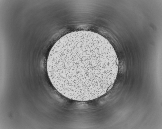 X0000110860424200907301356