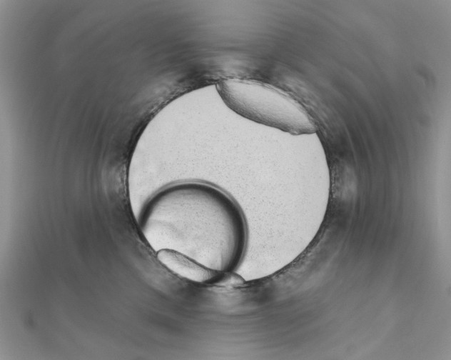 X0000110860425200907301356
