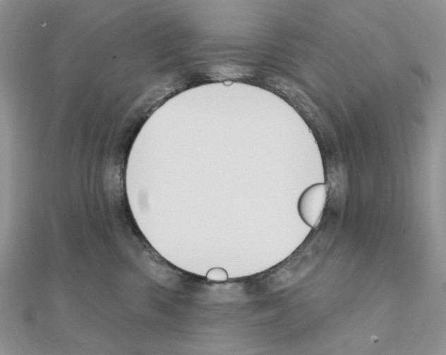 X0000110860426200907301356