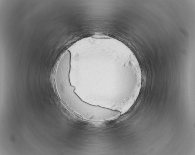 X0000110860427200907301356
