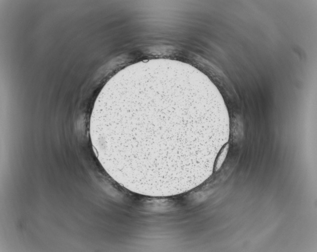 X0000110860428200907301356