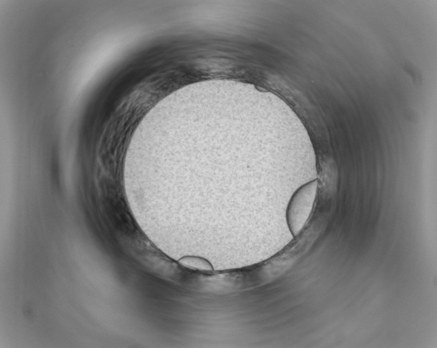 X0000110860430200907301356