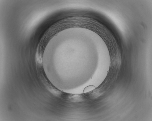 X0000110860431200907301356