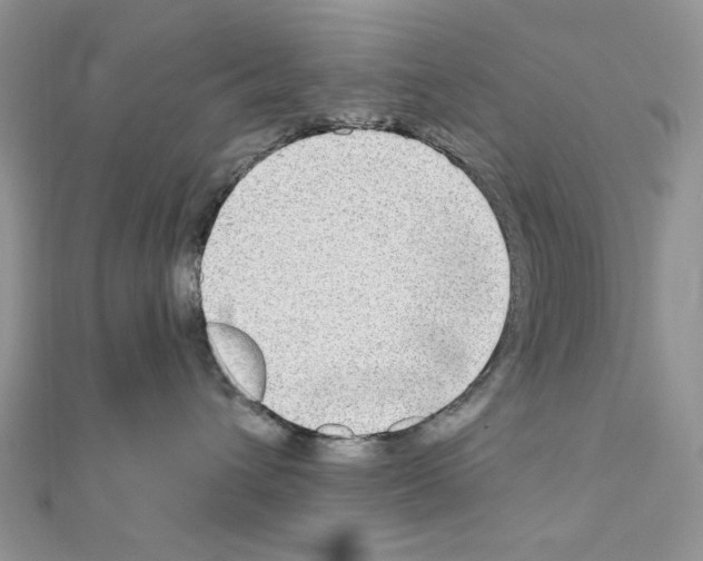 X0000110860432200907301356