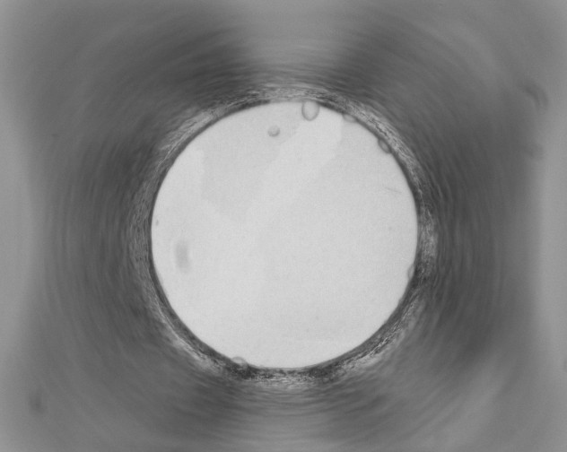 X0000110860433200907301355