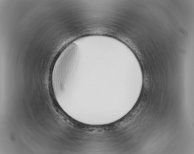 X0000110860434200907301355