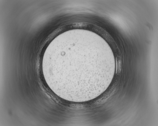 X0000110860435200907301355