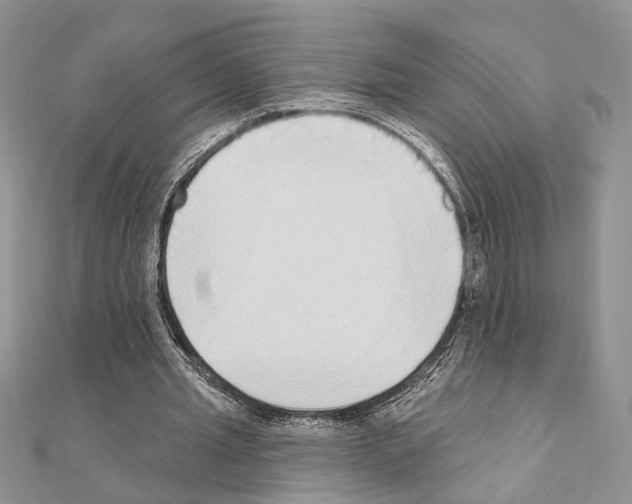X0000110860437200907301355