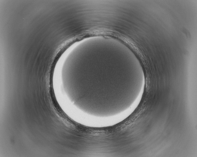 X0000110860438200907301355