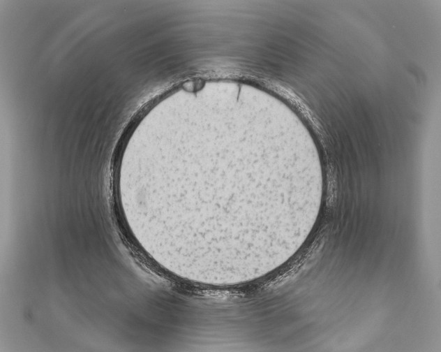 X0000110860439200907301355