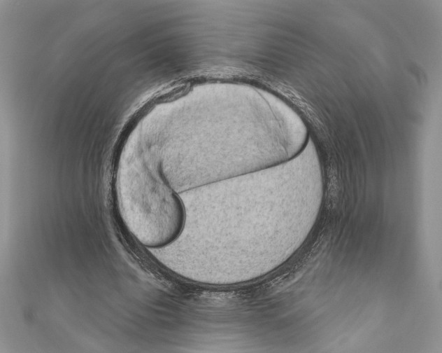 X0000110860440200907301355