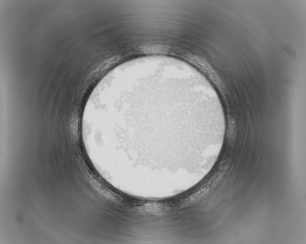 X0000110860441200907301355