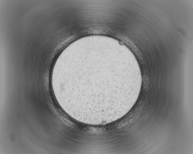 X0000110860442200907301355