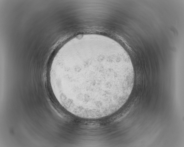 X0000110860443200907301355