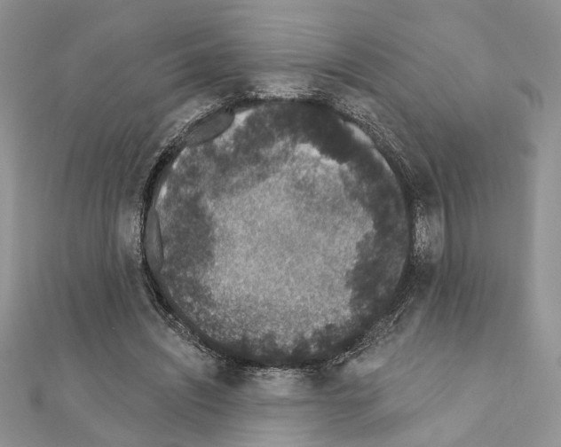 X0000110860444200907301355