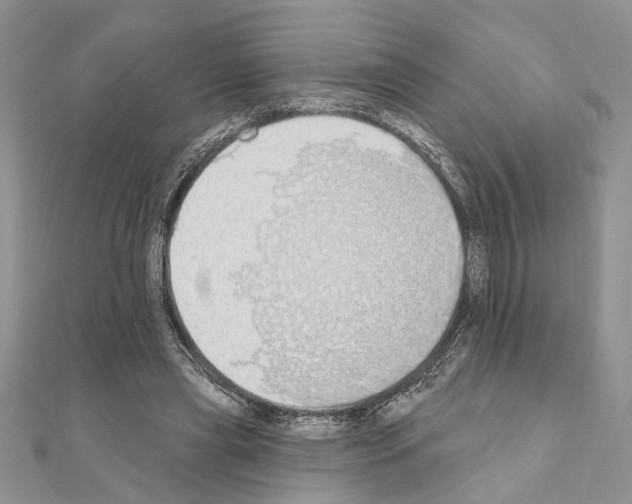 X0000110860445200907301355