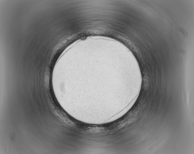 X0000110860446200907301355