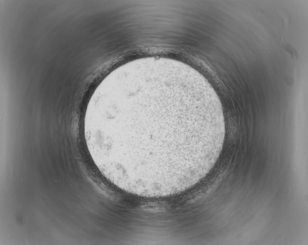 X0000110860447200907301355