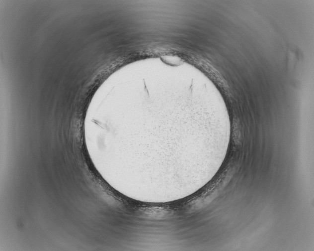X0000110860449200907301355