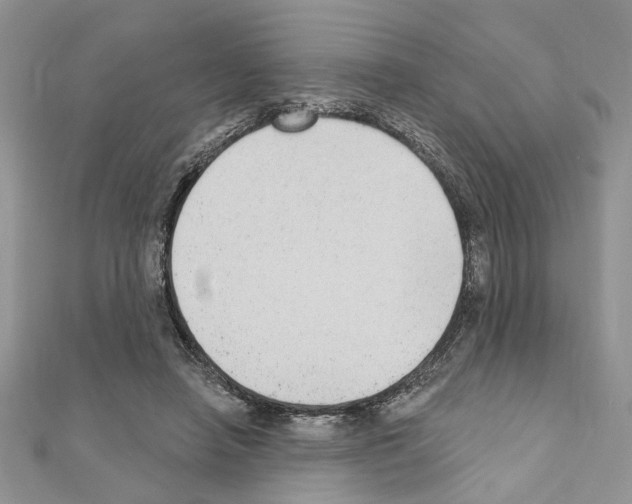 X0000110860450200907301355