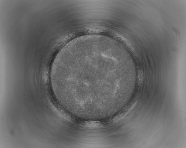 X0000110860451200907301355