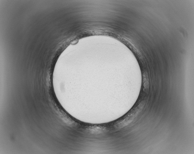X0000110860453200907301355