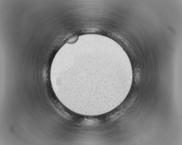 X0000110860455200907301355