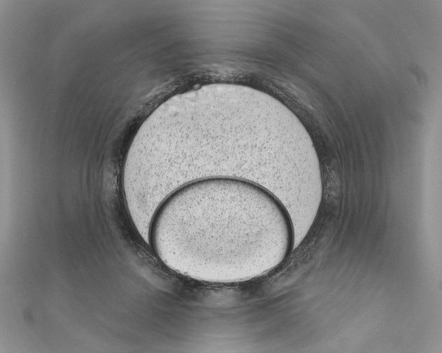 X0000110860456200907301355