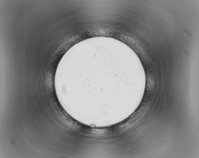 X0000110860457200907301355